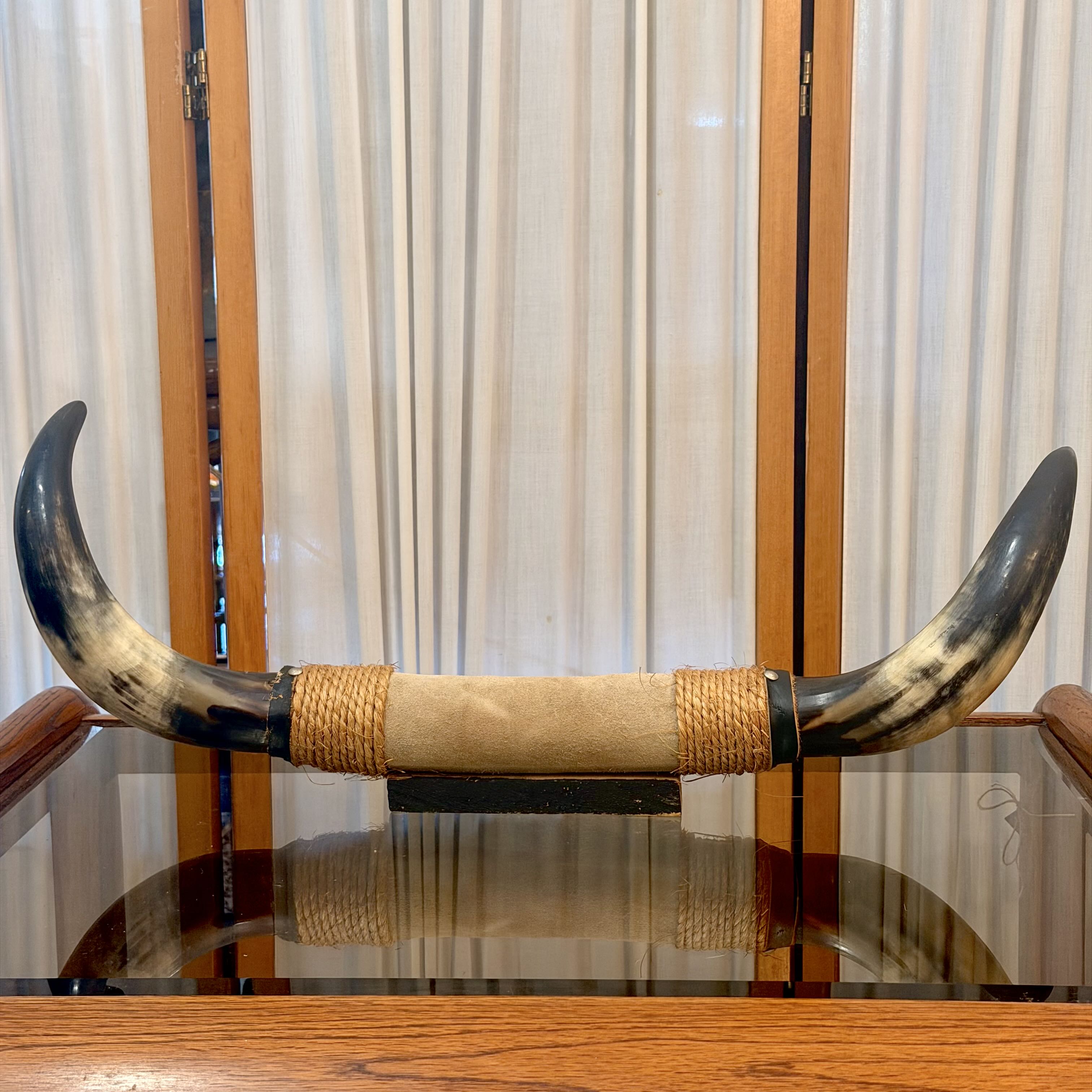 Vintage Mounted Steer Bull Horn
