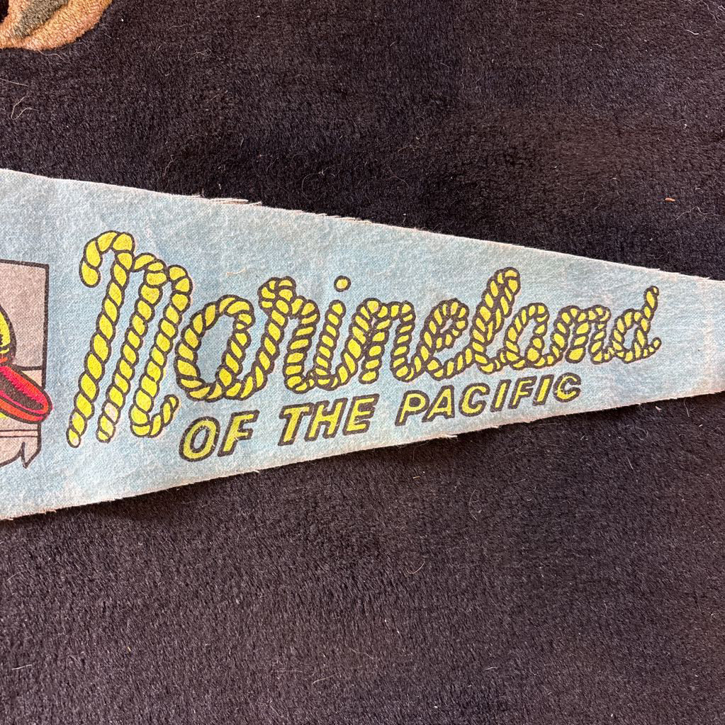 A colorful pennant flag for "Marineland" with the image of a dolphin and some fish. This flag is on a black floral rug.