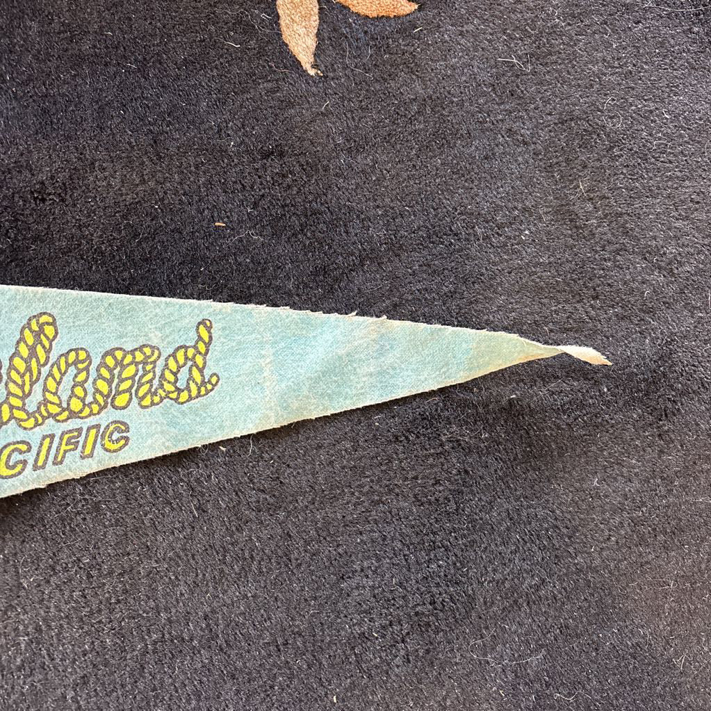 A colorful pennant flag for "Marineland" with the image of a dolphin and some fish. This flag is on a black floral rug.