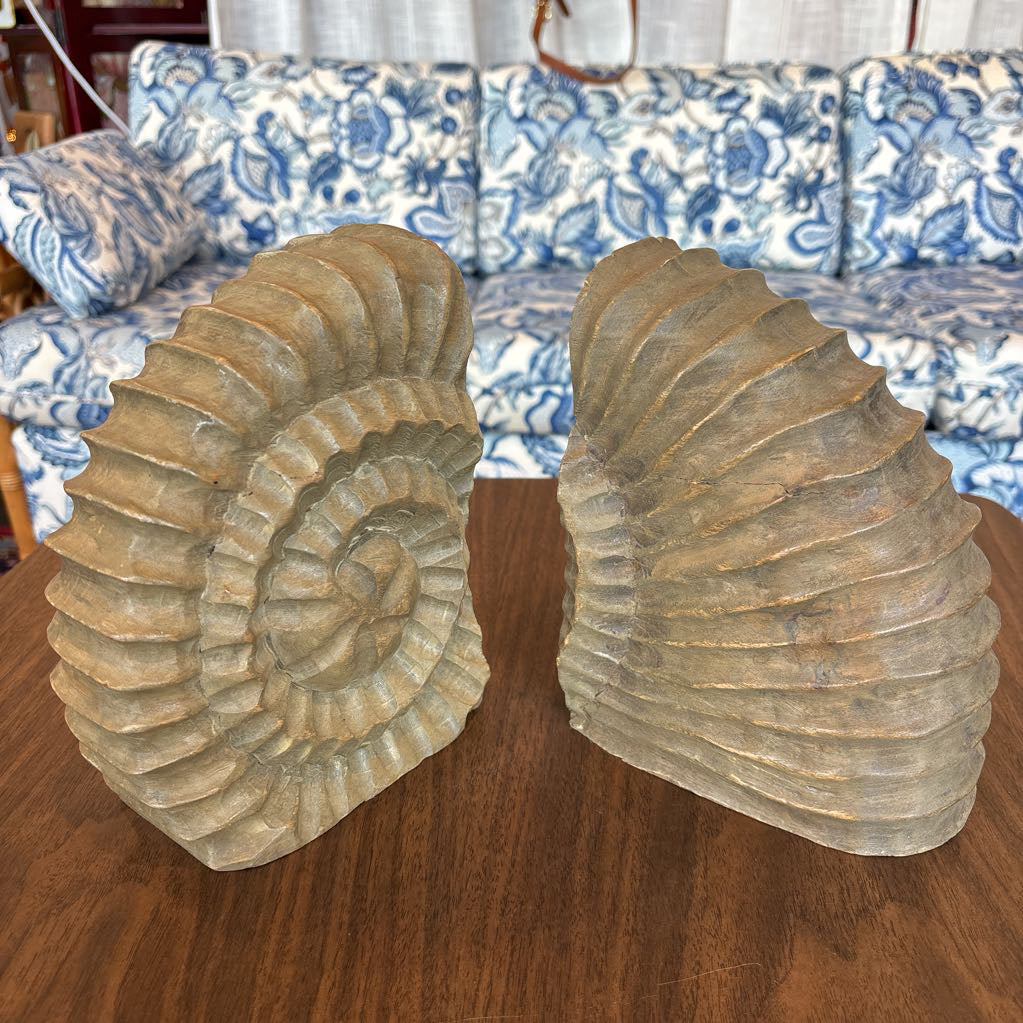 Two large natural ammonite fossils displayed upright on a wooden table in a living room, with a blue and white floral sofa in the background.