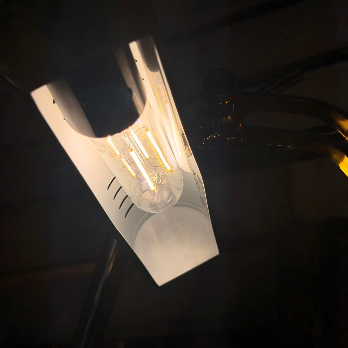 A close-up of a hanging industrial-style light fixture with a clear glass shade, visible filament bulb, and warm glowing light against a dark background.