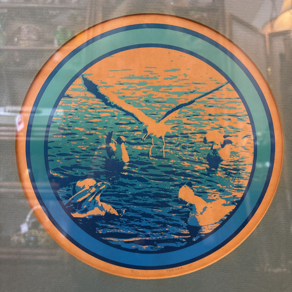 1974 Framed & Signed Seagull Print