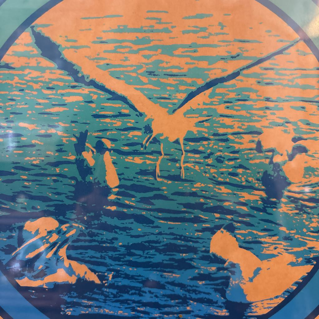 1974 Framed & Signed Seagull Print