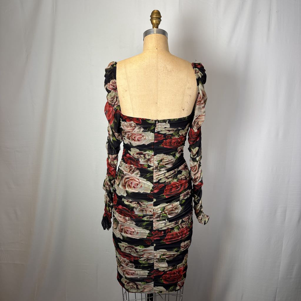 Blithe Los Angelos Red Roses Bodycon Dress