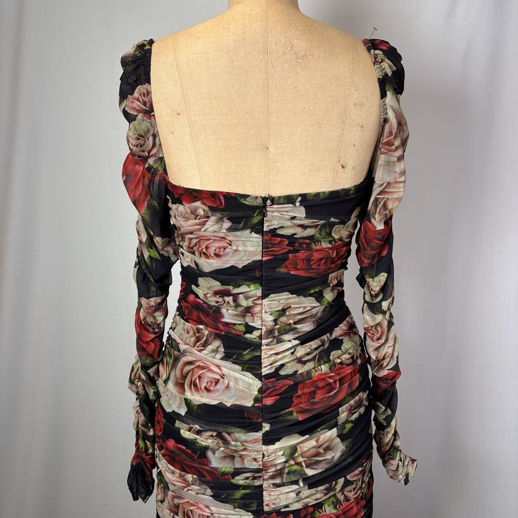 Blithe Los Angelos Red Roses Bodycon Dress