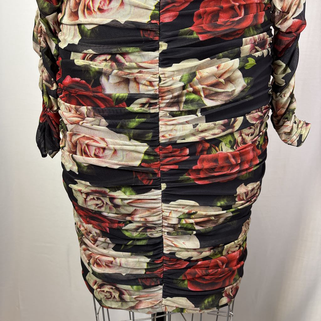 Blithe Los Angelos Red Roses Bodycon Dress