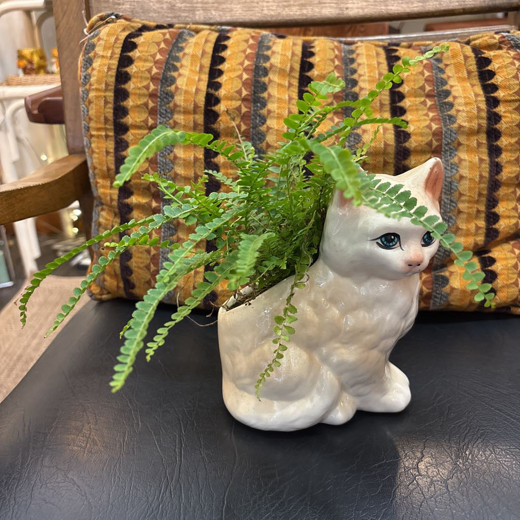 A white ceramic kitten with blue eyes and a fern plant inside It's sitting on a black leather seat with a cushion behind it.