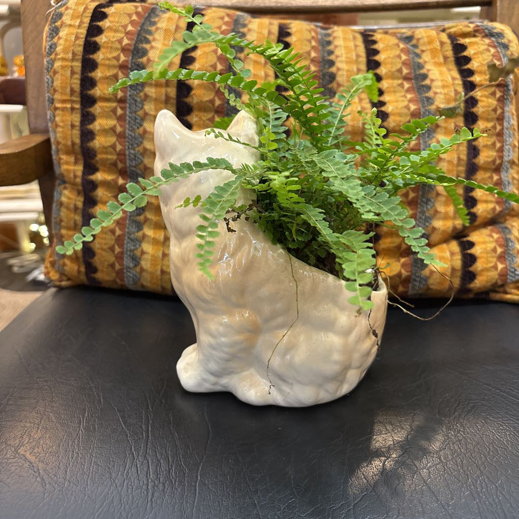 A white ceramic kitten with blue eyes and a fern plant inside It's sitting on a black leather seat with a cushion behind it.