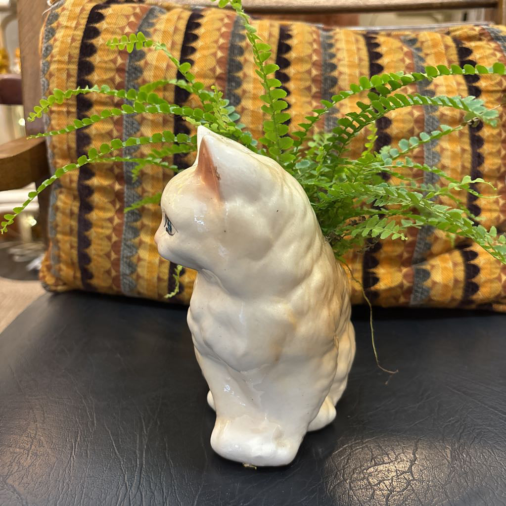 A white ceramic kitten with blue eyes and a fern plant inside It's sitting on a black leather seat with a cushion behind it.