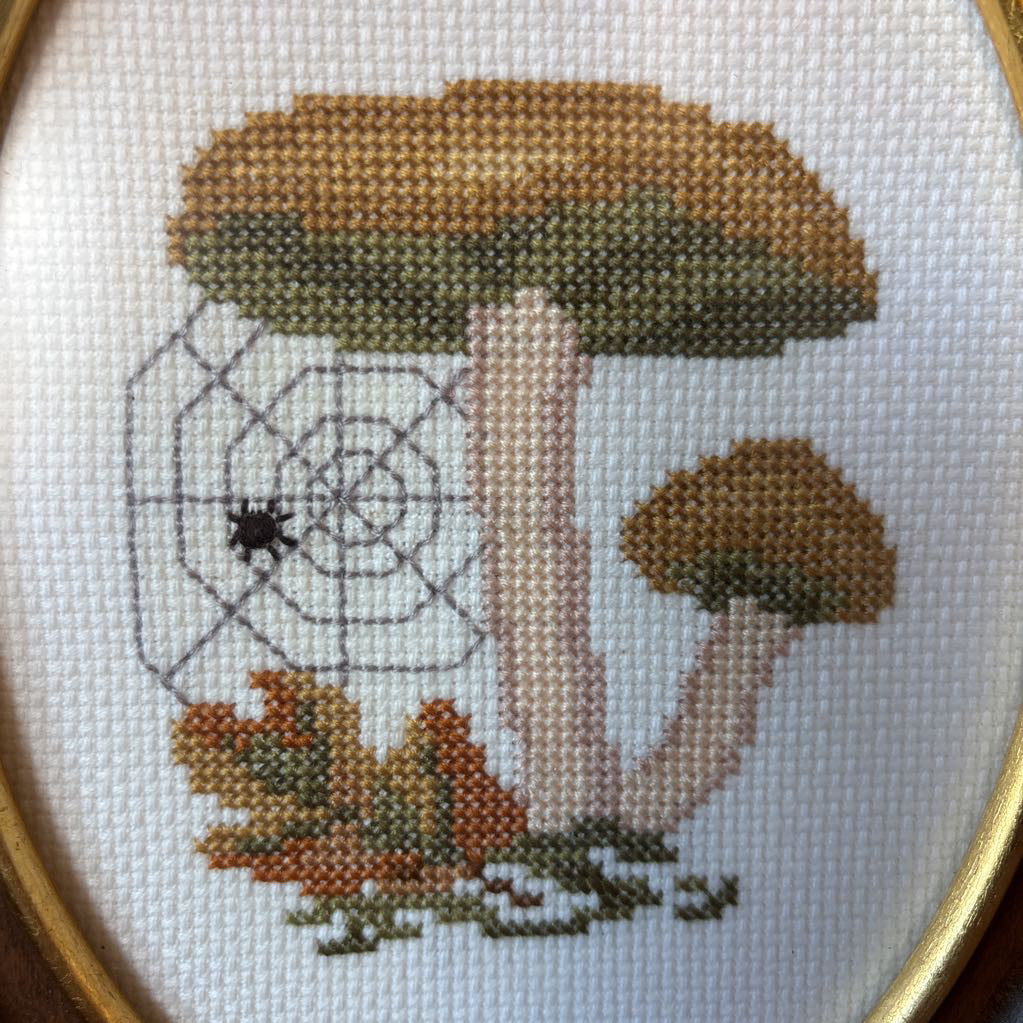 A mushroom and spider cross stitch artwork.