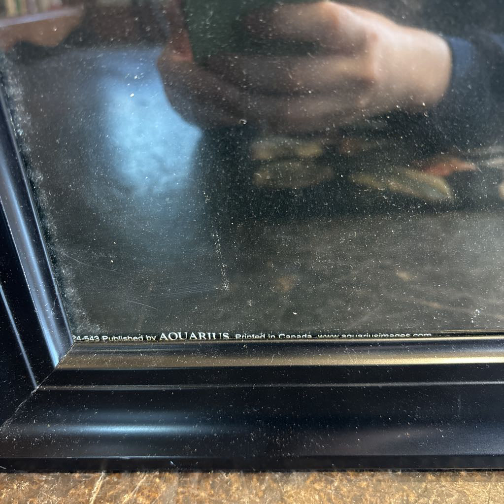 A black framed poster of the Beatles' album Let It Be leaning against a bookcase. 