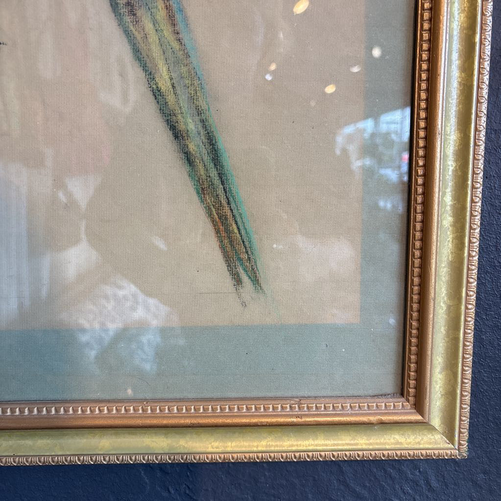 A vintage looking framed artwork of a blue and yellow Macaw on a branch with a signature under it. Its hanging on a black wall. 